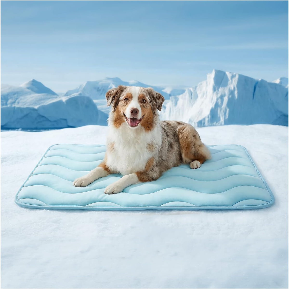 furrybaby Dog Cooling Mat, Self Cooling Mat for Large Dogs& Cats - Blue / 42"x28"(Large)