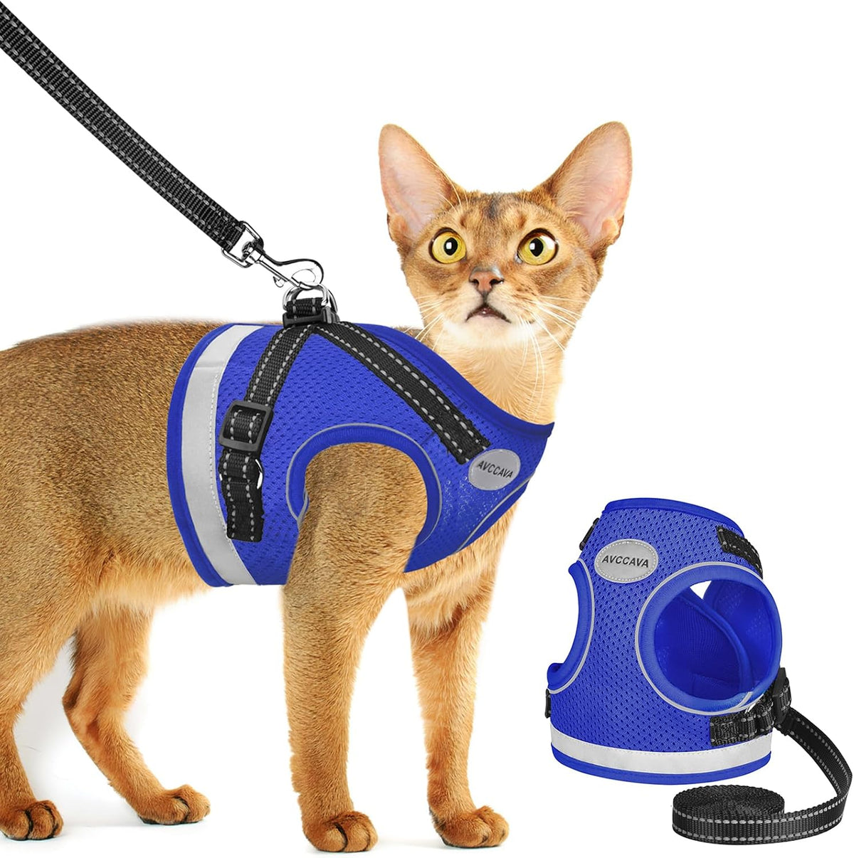 Cat Harness and Leash Set - Blue / S (Chest: 9" - 11")