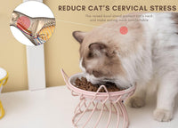 Set of 4 Elevated Ceramic Cat Bowls, Assorted Colors – Essentials for Cats - Pink+Blue - image 4
