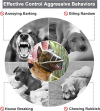 Crazy Felix Nylon Dog Muzzle for Small Medium Large Dogs Dachshund Beagle Poodle Labrador, Air Mesh Breathable and Drinkable Pet Mouth Guard for Anti-Biting Chewing Scavenging (XS, Reflective Trim)