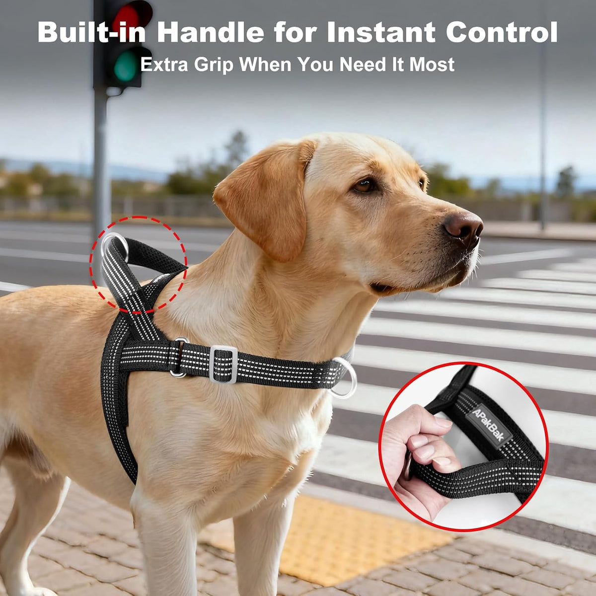 No Pull Dog Harness with Handle - Black / M - image 3
