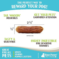 Raw Paws Grain-Free Soft Sausage Treats for Dogs & Cats - Beef Recipe, 6-oz - Made in USA - Great for Training Puppies or as a Reward - Beef Jerky for Dogs - Soft Cat Treats