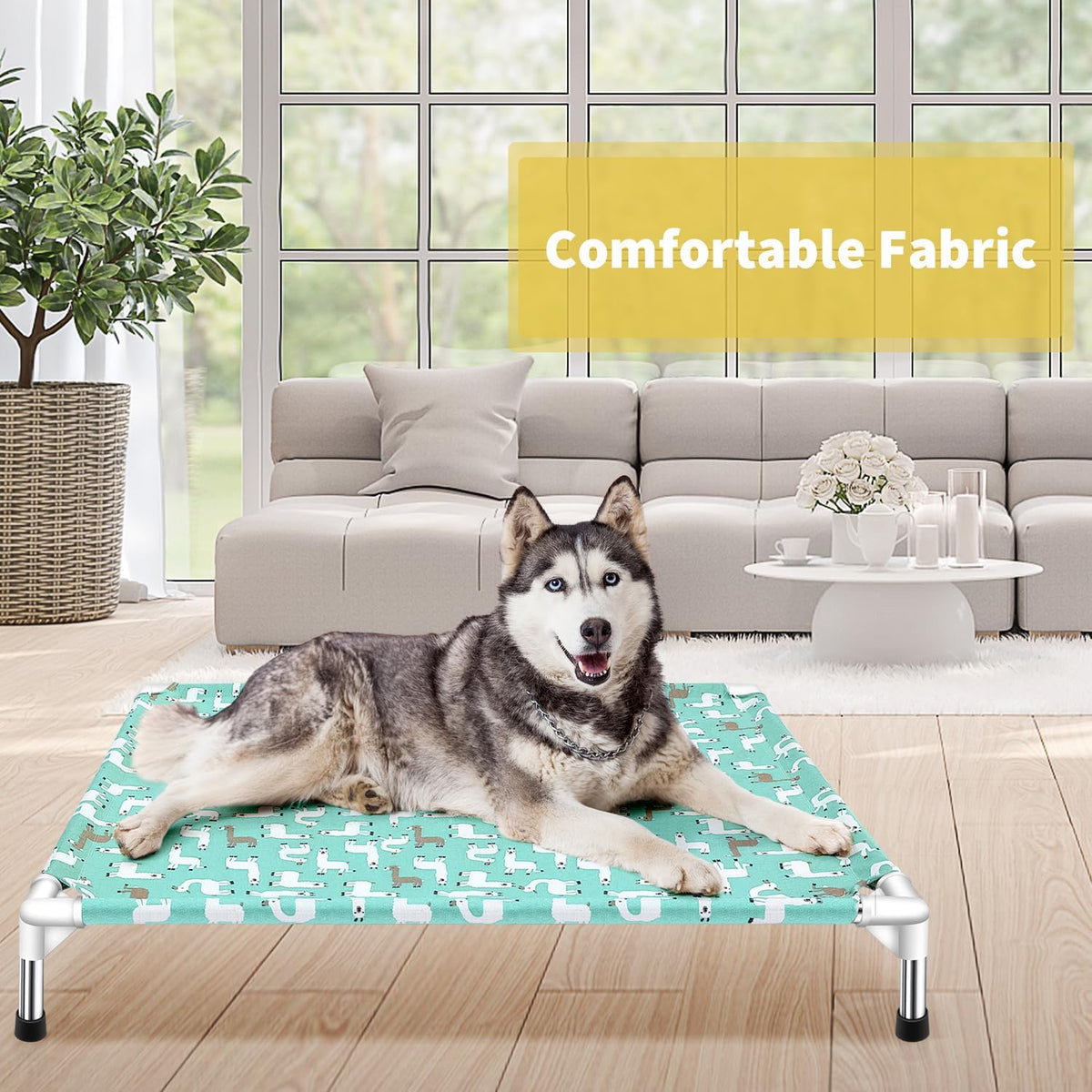 Elevated Dog Bed Pet cot for Small Dogs, Indoor and Outdoor Use – Essentials for Dogs - Large - image 2