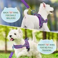 SlowTon No Pull Small Dog Harness and Leash Set with Front Clip – Essentials for Dogs - Medium / Purple - image 4
