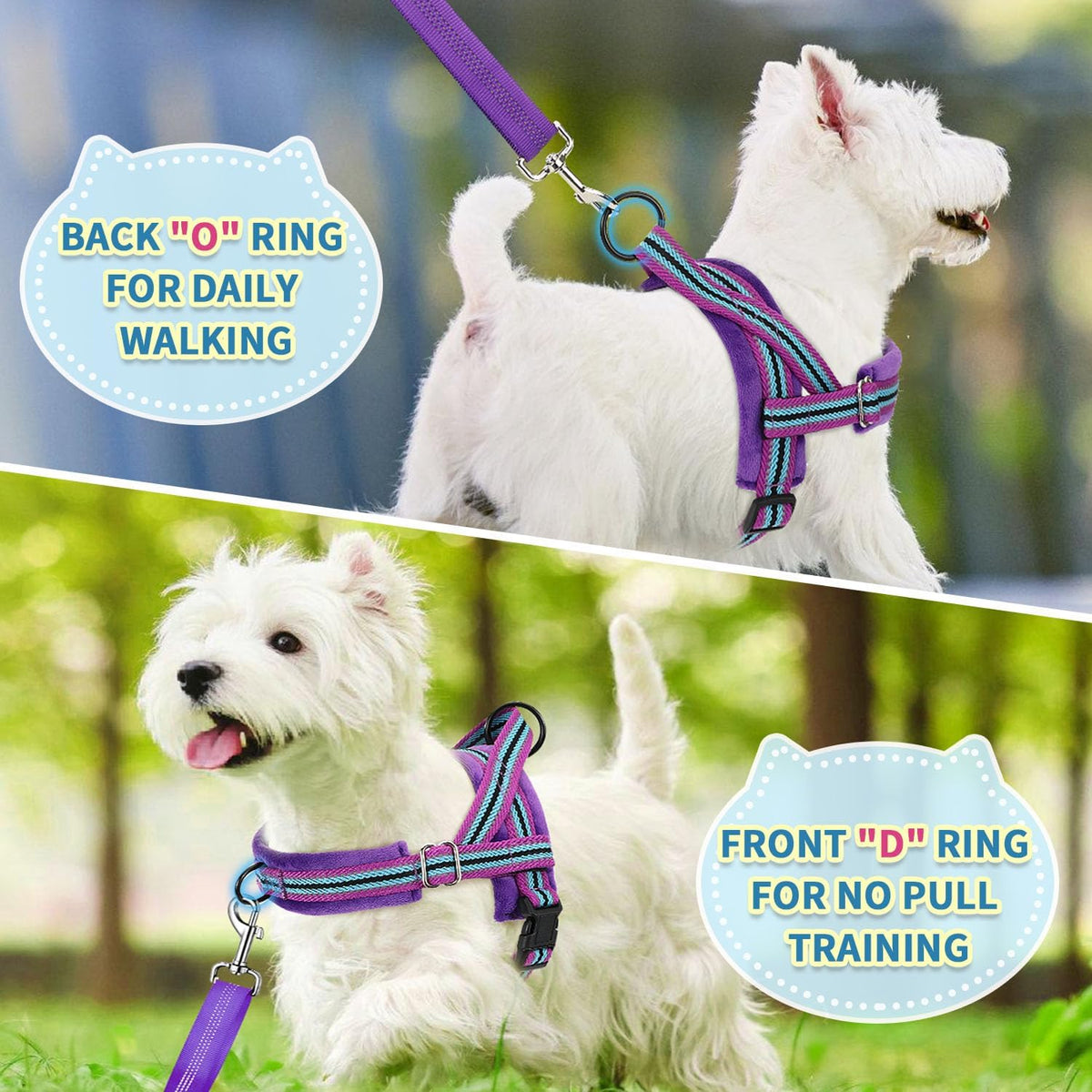SlowTon No Pull Small Dog Harness and Leash Set with Front Clip – Essentials for Dogs - Medium / Purple - image 4