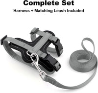 Plutus Pet Adjustable Cat Harness and Leash Set - Gray - image 2