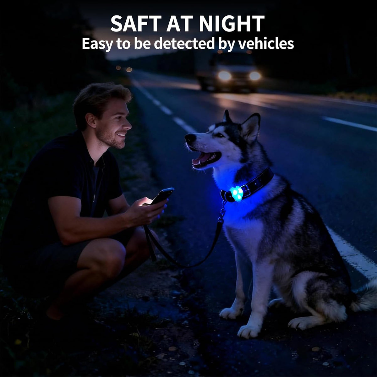 LaRoo Dog Lights, Led Collar Lights for Nighttime Walking - Blue-A - image 4