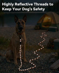 Joytale Long Dog Leash for Yard Tie Out & Recall Training - Orange / 15FT - image 4