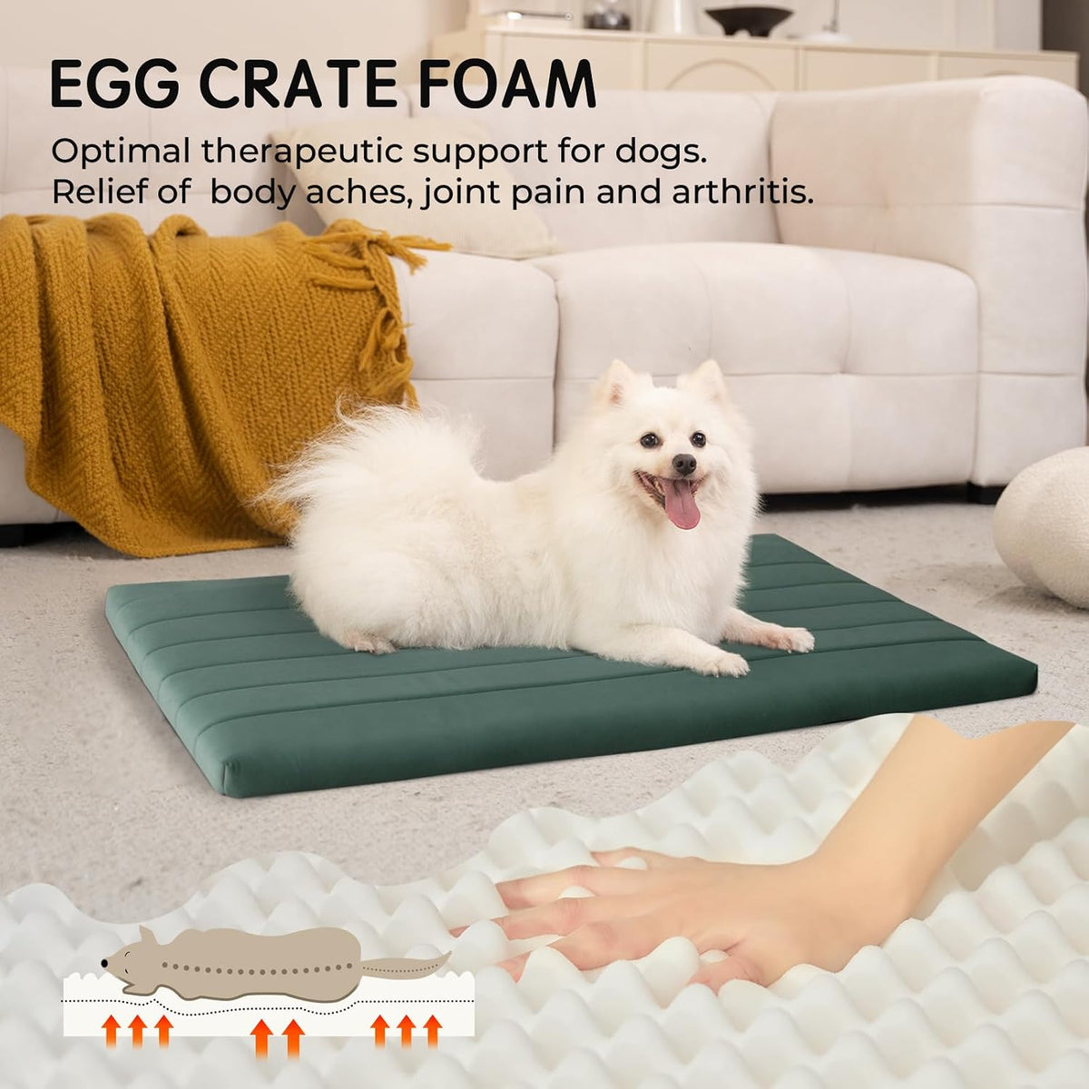 BALANCE Dog Crate Bed, Orthopedic Dog Bed Pad with Waterproof Liner, Washable Crate Foam Pet Mat - Mint Leaf / 36.0"L x 23.0"W x 1.6"Th - image 2