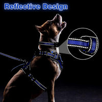 WINSEE Pet Harness Collar and Leash Set - Medium / Dark Blue - image 2