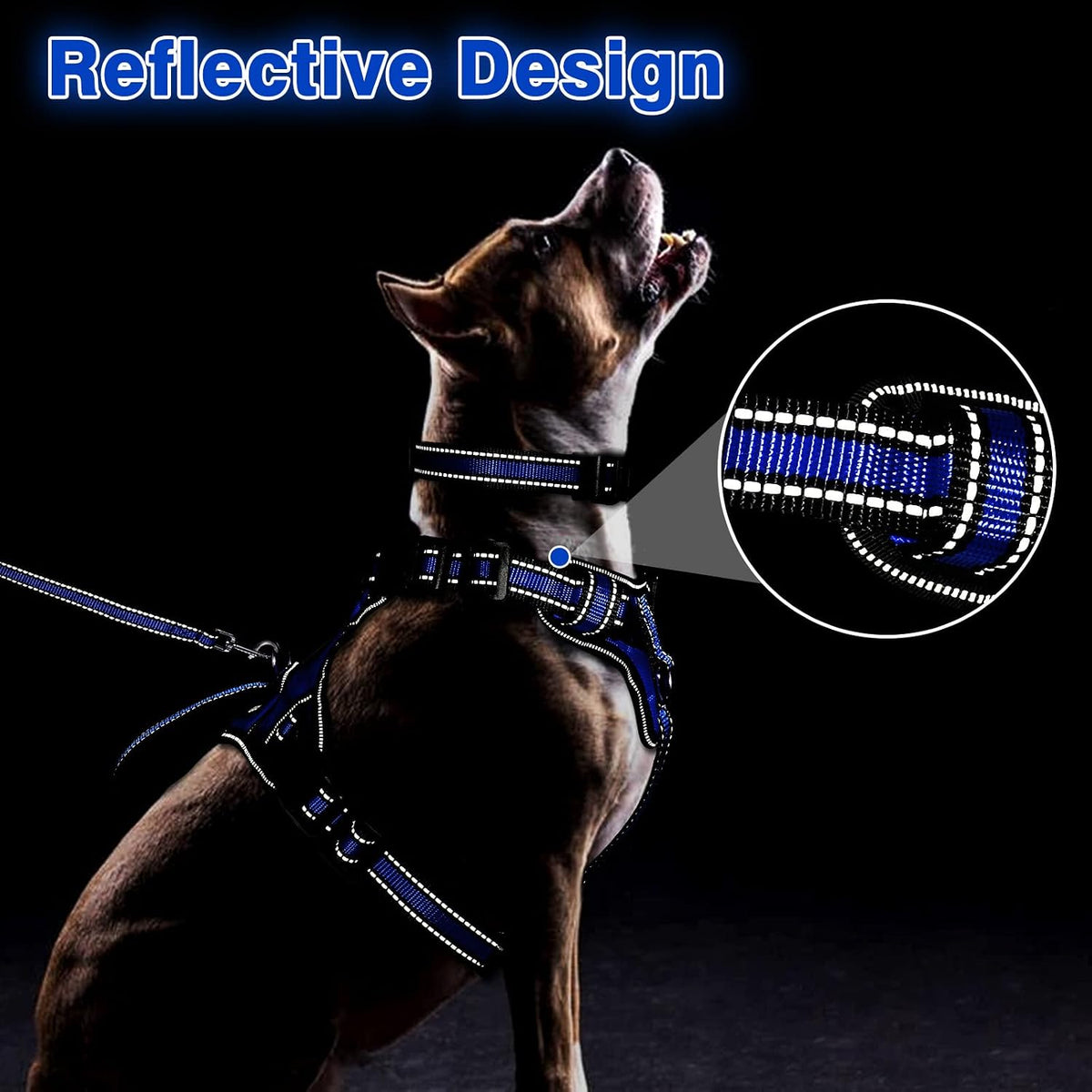 WINSEE Pet Harness Collar and Leash Set - Medium / Dark Blue - image 2