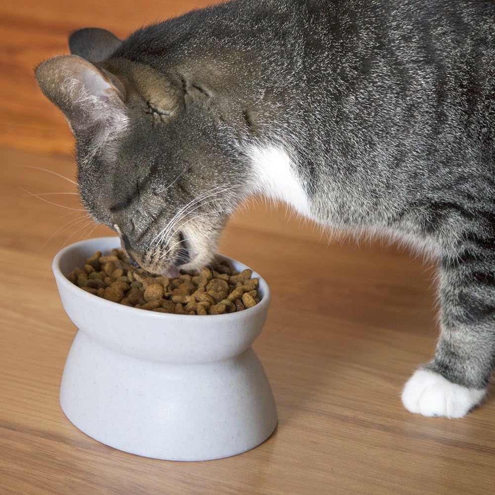 Kitty City Elevated Cat Bowls - image 3