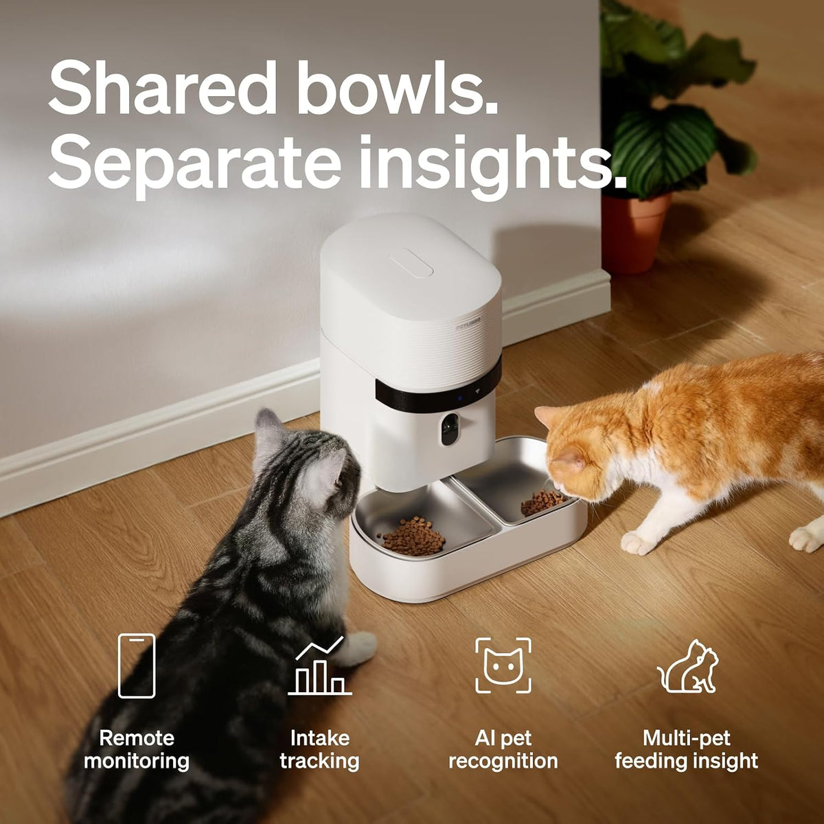 PETLIBRO Automatic Cat Feeder for 2 Cats - 5l dual bowl - image 2