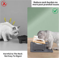 Elevated Whisker Friendly Cat Bowls - Ceramic Bowls-Bamboo - image 2