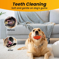 Puppy Toy, Interactive Squeaky Dog Ball Toys for Small Dogs – Essentials for Dogs - Orange / Large - image 4