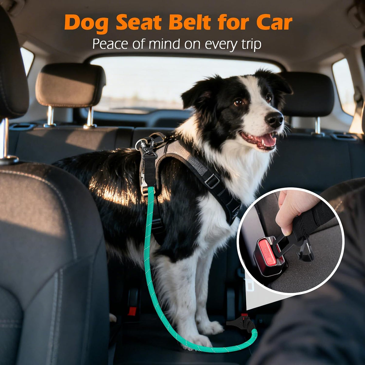 Dog Seat Belt for Car, Durable Rope Dog Car Harness for Vehicle – Essentials for Dogs - Turquoise / 1 Pack - image 3