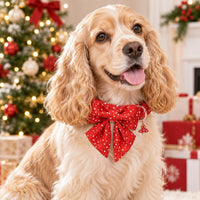 DOGWONG Fall Pumpkin Orange Plaid Dog Collar - Red Christmas / L - image 4
