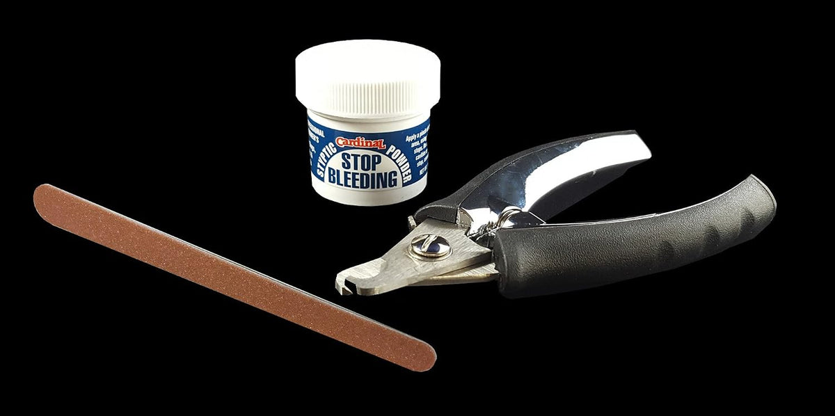 Professional Pet Nail Trimmers and Clippers for Large Dogs and Cats – Essentials for Dogs - Large Kit