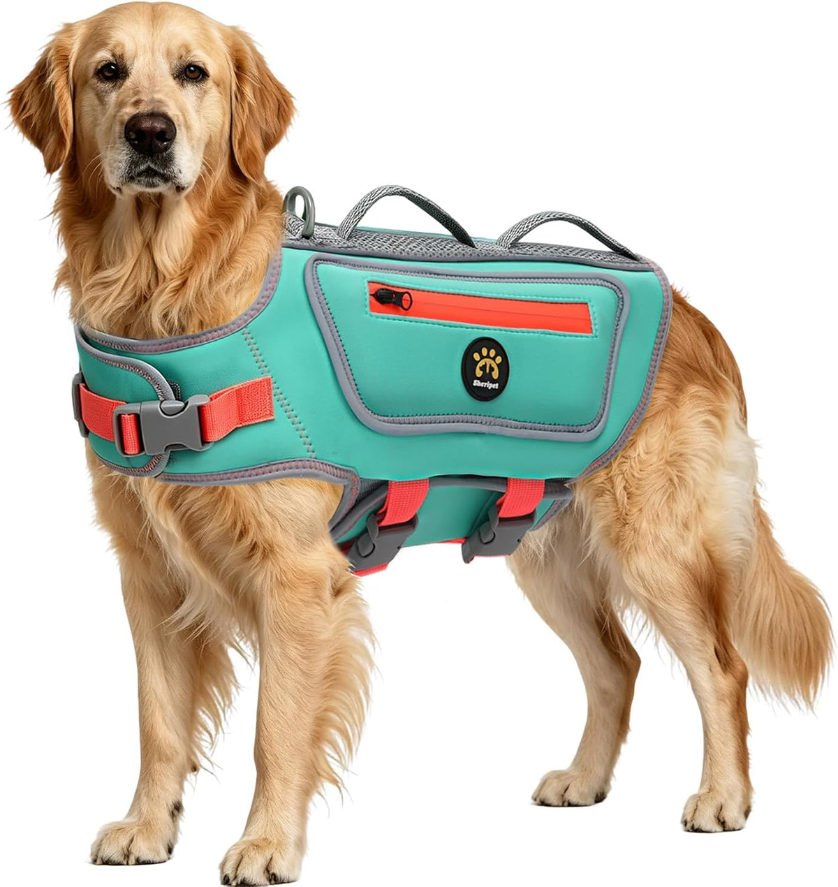 Dog Life Jacket, Good Visibility Pet Swimming Vest for Boating L – Essentials for Dogs - Turquoise / X-Large