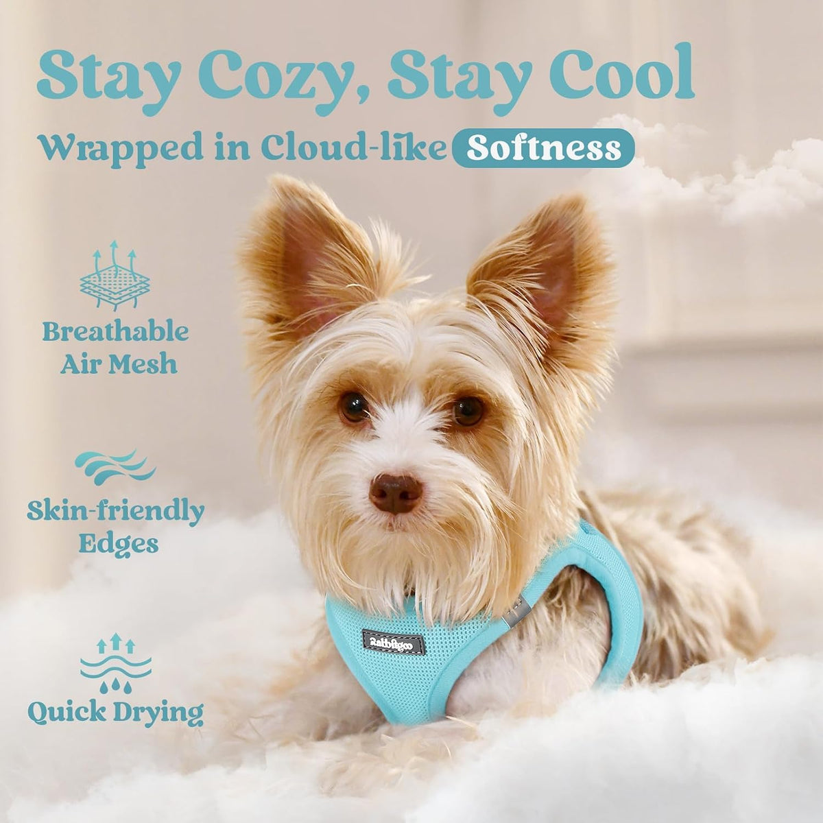 rabbitgoo Step-in Small Dog Harness - Mint Blue / Xl(chest:20.0"-21.8") - image 3