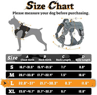 rabbitgoo Dog Harness for Large Dogs No Pull, Tactical Service Pet Vest with Molle and Control Handle, Adjustable and Reflective Military Harness for Easy Walking and Training, Grey, L