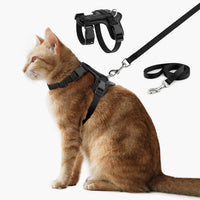 Plutus Pet Adjustable Cat Harness and Leash Set - Black