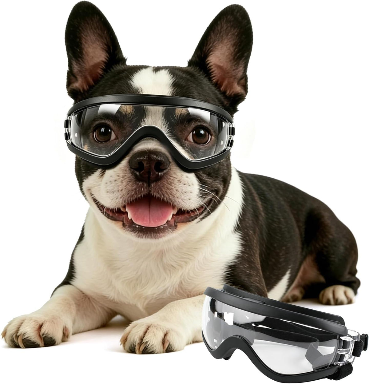 Dog Goggles for Small Breeds - Medium / Clear