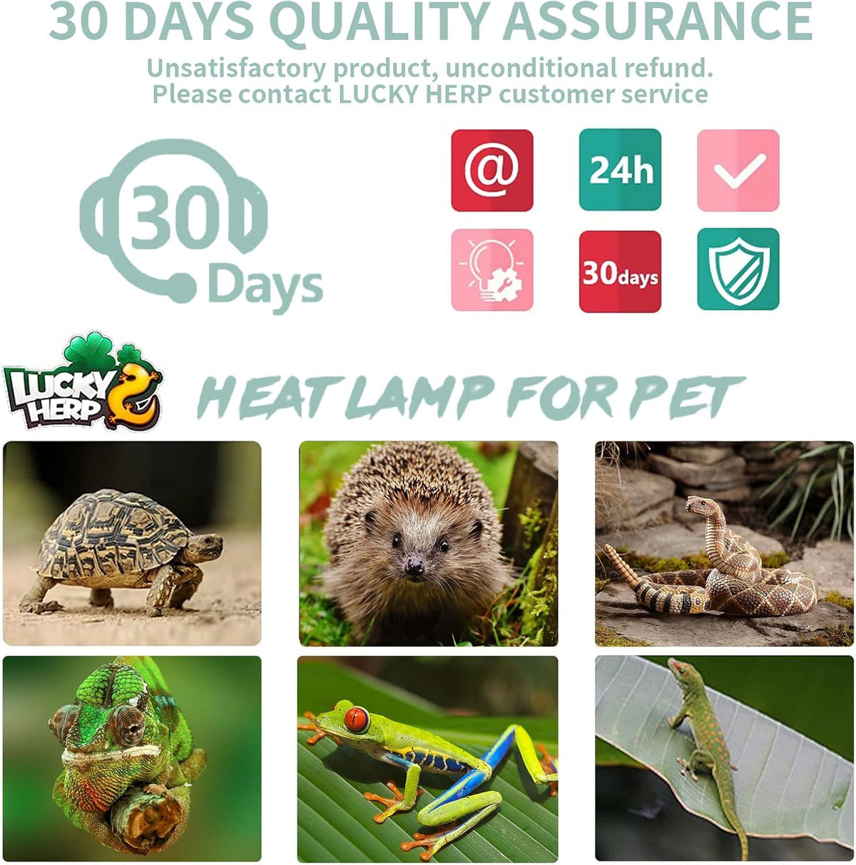LUCKY HERP Reptile Heat Lamp with Clamp - 50*4 - image 4