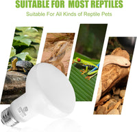 Reptile Heat Lamp Bulbs, Simulate Natural Sunlight Heat Light Bulb, 2 Pack 100W Amphibian Terrarium - Basking Bulb / 2*75 - image 3