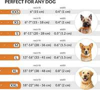 CollarDirect Rolled Leather Dog Collar, Soft Padded Round Puppy Collar, Handmade Genuine Leather Collar Dog Small Large Cat Collars 13 Colors (13-16 Inch, Orange Textured)