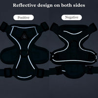 Wanheart cat Chest Harness and Leash - Emerald / M:6.6-9.9lb - image 3