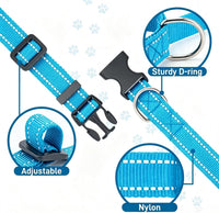 Dog Collar for Small Medium Dogs with Buckle - Sky Blue / Small - image 3