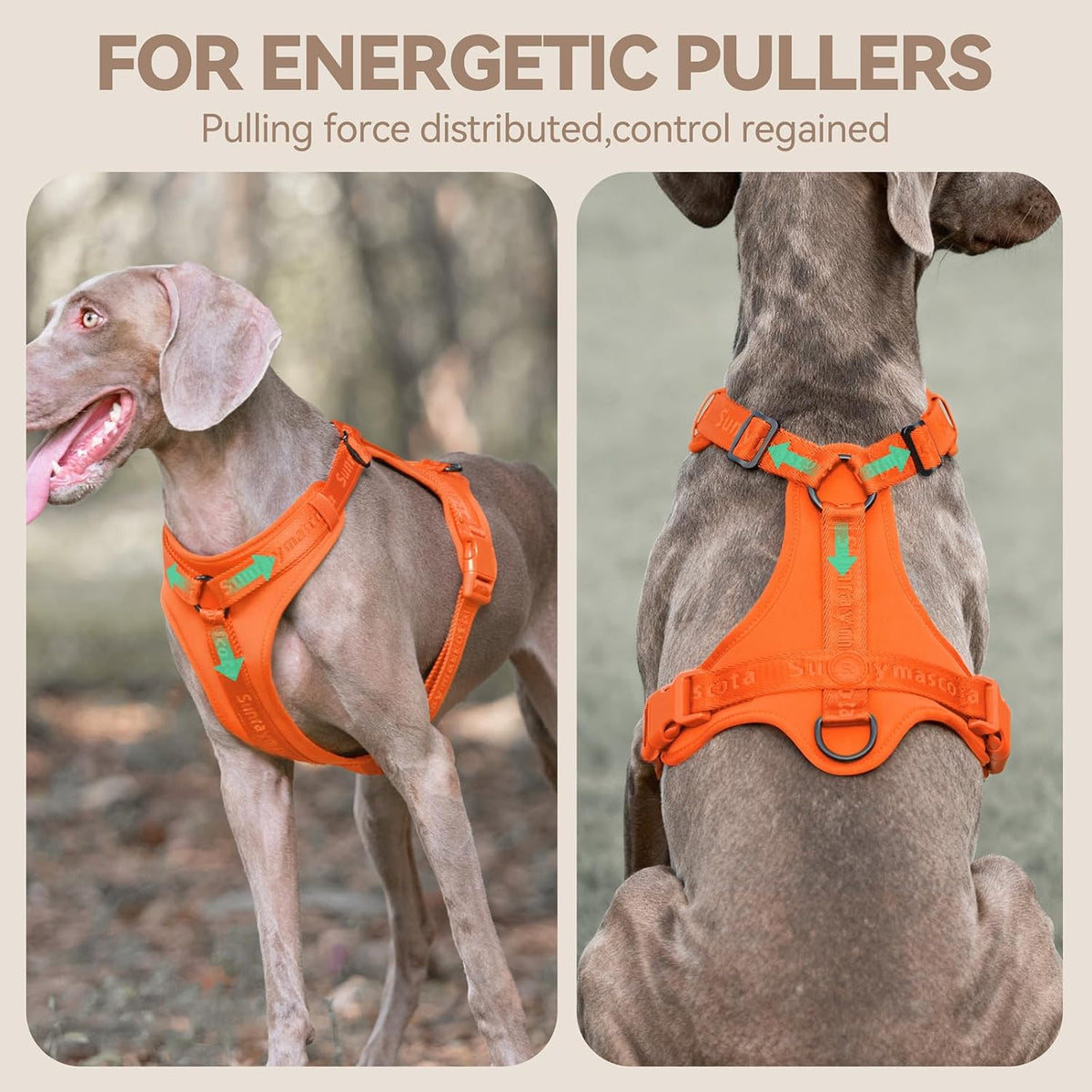 Sunraymascota Dog Harness - L (Neck: 18-31", Chest: 24-37") / Orange - image 2