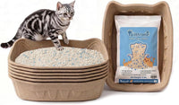 Disposable Cat Litter Box Kit Large
