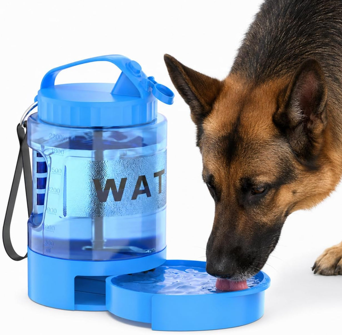 Portable Dog Water Bottle with Bowl, Large 77 oz/2.2 L, Black – Essentials for Dogs - 77oz-Blue
