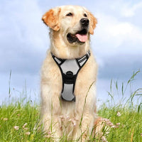 rabbitgoo Dog Harness No Pull with 2 Leash Clips, Adjustable Soft Padded, Reflective Oxford No Choke Pet Vest with Easy Control Handle for Medium Sized Dogs, Grey, M