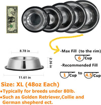 2 Pack Stainless Steel Dog Bowls with Rubber Bottom - 6 Cup / 48 oz - image 2