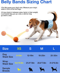 Dog Diapers Male Disposable, Belly Bands for Male Dogs, S 26pcs – Essentials for Dogs - XS-26 - image 4