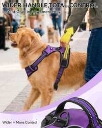 Joytale No Pull Dog Harness & Seat Belt, Easy On 3-Buckle, L - Purple / Medium - image 2