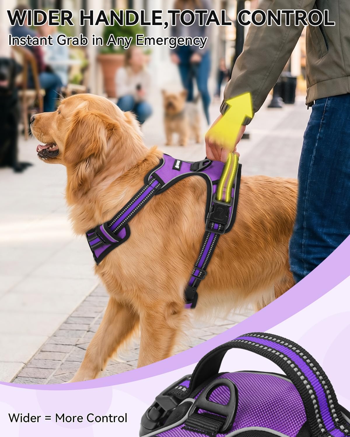 Joytale No Pull Dog Harness & Seat Belt, Easy On 3-Buckle, L - Purple / Medium - image 2