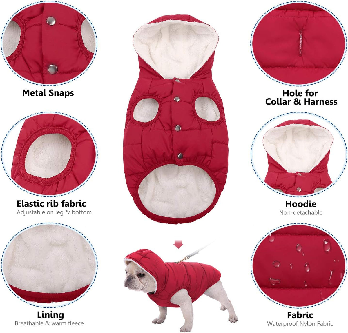 Dog Winter Coat,Warm Fleece Lined Dog Jacket with Leash Hole & Hood – Essentials for Dogs - Red / Large - image 4