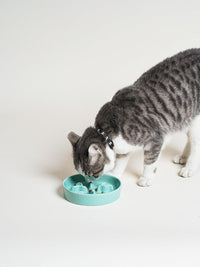 Ceramic Slow Feeder Dog Bowls Small Breed - Turquoise / S-0.5 Cups - image 4