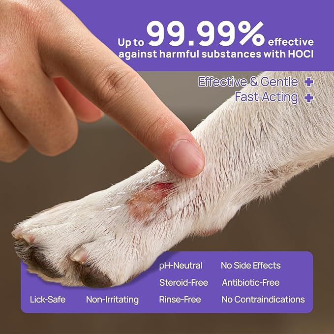 HICC PET Dog Wound Care Hydro Gel, Heals Wounds, Soothes Inflammation, Prevents Infection, Treats Bites, Scratches & Skin Ulcers, Cat Wound Care Solution, Horses First Aid Kits, 3.4 Ounces