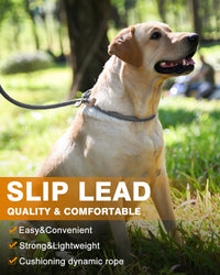 Dog Leash Slip Lead Braided Rope Pet Training Loop Leashes 5ft 6ft 8ft – Essentials for Dogs - Grey / Slip Lead-3/8in x 6ft Small - image 4