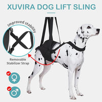 Dog Sling for Medium Dogs Hind Leg Support – Helps with Joint Pain, Mobility Issues, and Ivdd, Rear Leg Lift Harness with Chest Strap, Adjustable Elastic, and Reflective Material, M