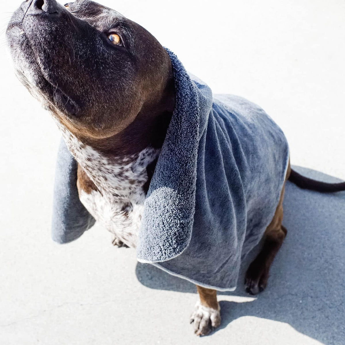 Wooflinen Microfiber Pet Bath Towel, Ultra-Absorbent - image 3