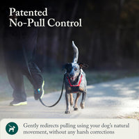 Sporn No Pull Dog Harness - Medium / Red - image 4