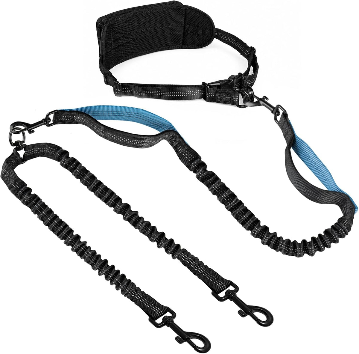 Kytely Hands Free Dog Leash with Zipper Pouch - For 2 Dogs / Medium/Large