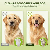 36 Count Pet Wipes for Dogs & Cats, Glove Design, Coconut Scent – Essentials for Dogs - 3 Pack - image 4