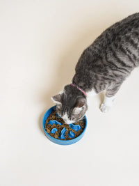 Ceramic Slow Feeder Dog Bowls Small Breed - Blue / S-0.5 Cups - image 4